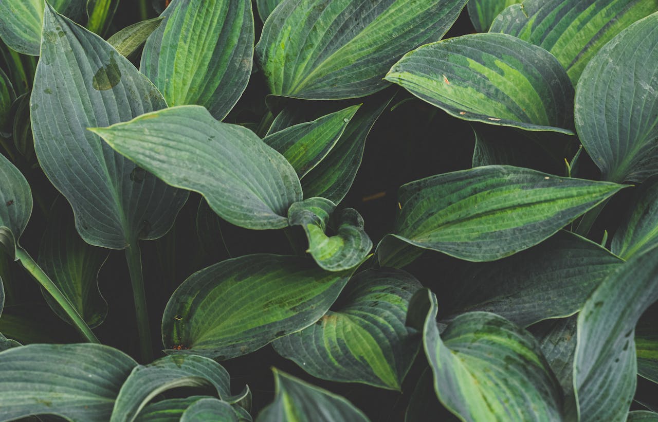 pexels-photo-13186098-13186098.jpg